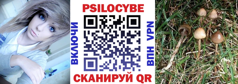 Галлюциногенные грибы Psilocybine cubensis  купить  цена  Спас-Клепики 
